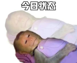 新人畅歌吉他弹唱主播照片