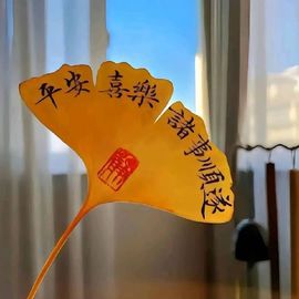 开心果～NO1主播照片