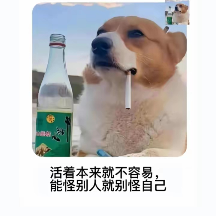 别碰我的鸡蛋海报