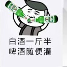 我心飞翔xbr*