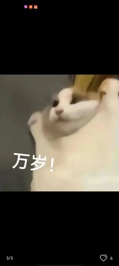 米娜Meena🧸主播照片
