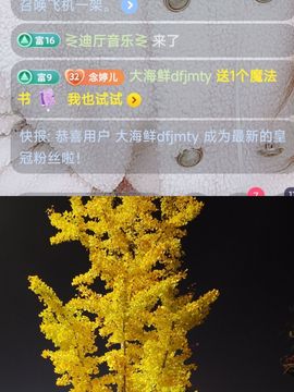 婷婷💕感恩有你陪伴的图片