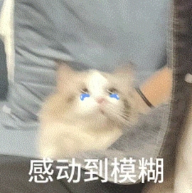 小雪碧💓的图片