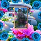 🍎🌹🌹🌺老板💰