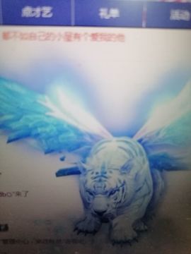 鸭鸭💞嗓疼不叭叭的图片