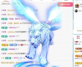 小棉棉🐾主播照片