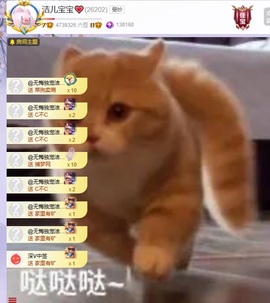 洁儿宝宝~主播照片