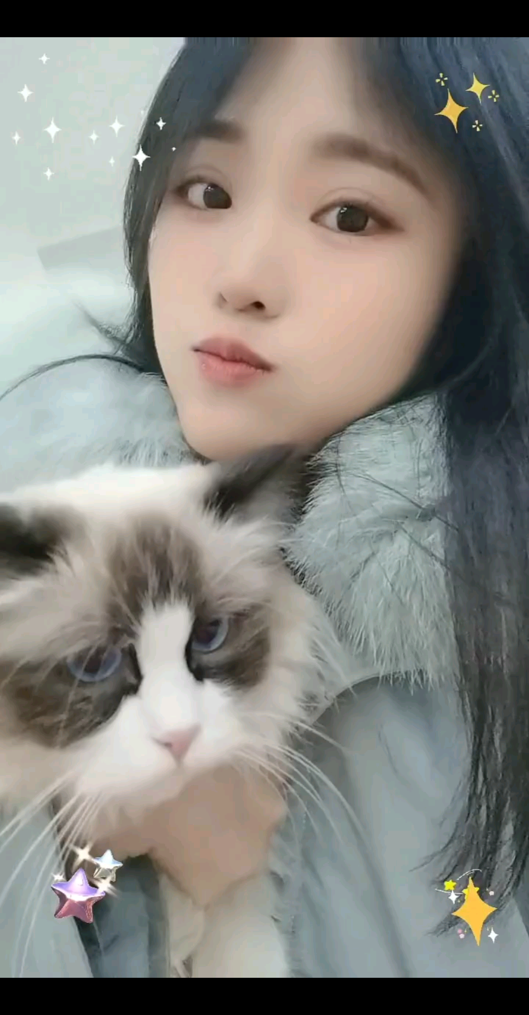 这只满眼哀怨的猫猫