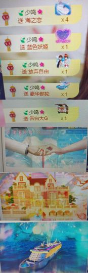 海鸽晚上见主播照片