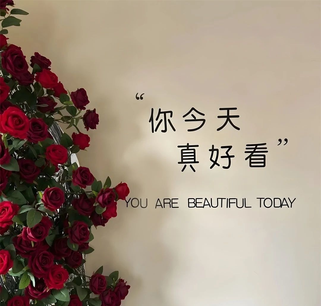 艾.琳的图片