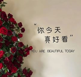 艾.琳主播照片