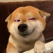 你瞅谁！