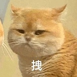 洁儿宝宝~主播照片