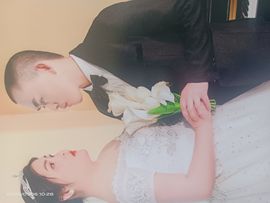 高山上的熊熊好运常伴的图片