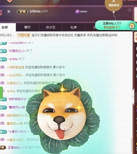 金牌代理❤玲儿❤主播照片