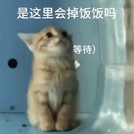 贝妞来咯～的图片