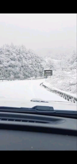 雪落无声，却铺满了整