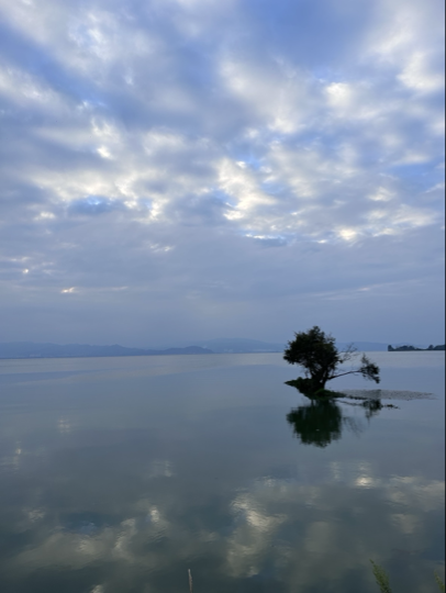 南柯梦🥀海报