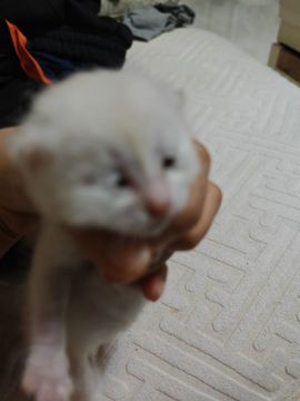 如意啦主播照片