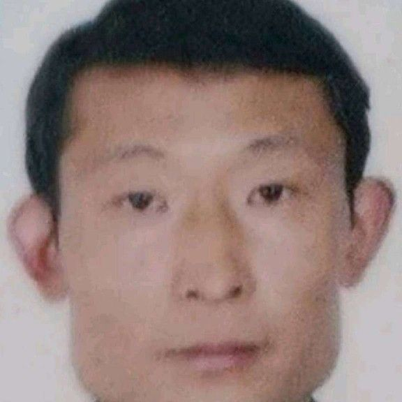 我妈妈家的新姑爷海报