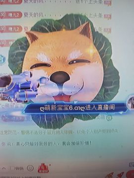晴儿21的图片