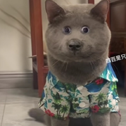 无聊打发时间。