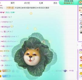 代理心雨有事休一天主播照片