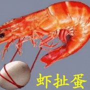 🦐虾扯蛋