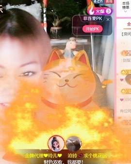 金牌代理❤玲儿❤主播照片