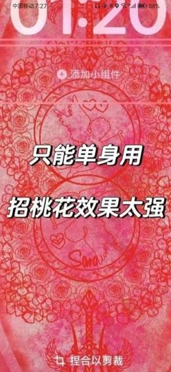 丑小鸭🌈万人迷肉球主播照片