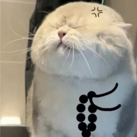 洁儿宝宝💗~主播照片