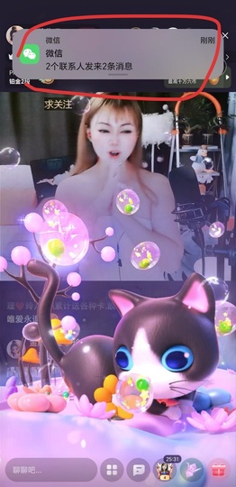 金牌代理❤玲儿❤主播照片