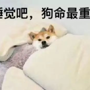 冰糖雪梨676