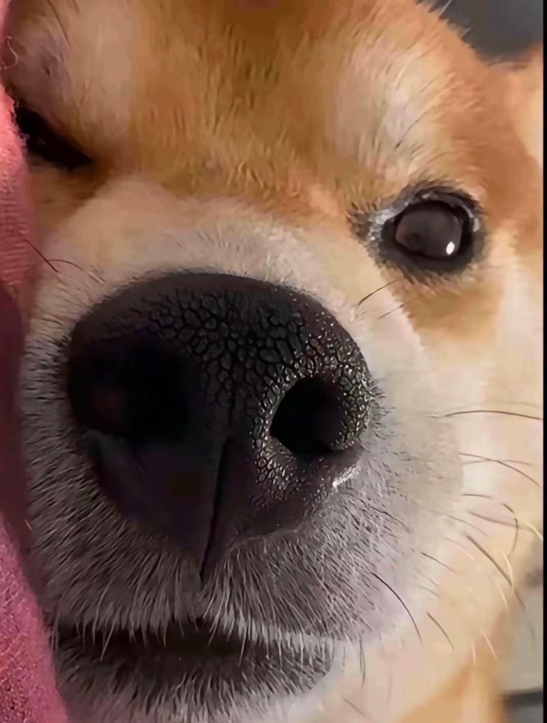 抱抱馨💌回来啦～的图片