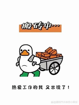 🎵溪今天休明天见主播照片