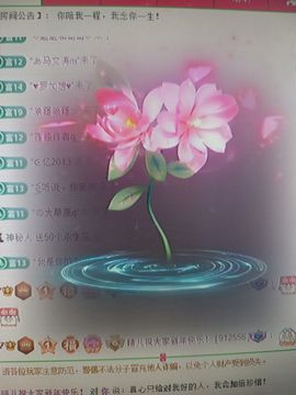 晴儿21的图片