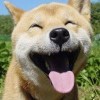 请叫我大狼!