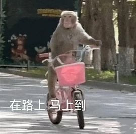 倾城🌸跳舞最哇塞主播照片