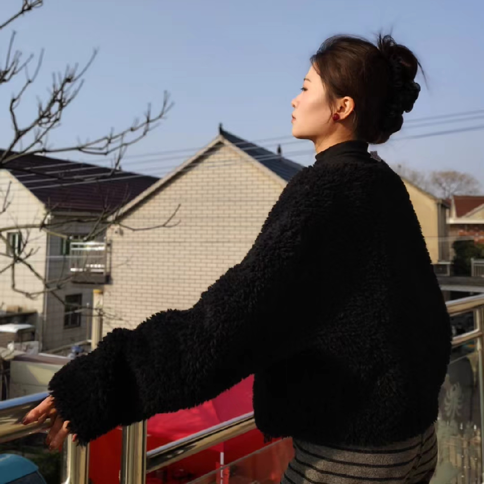 孤独旅行者…海报