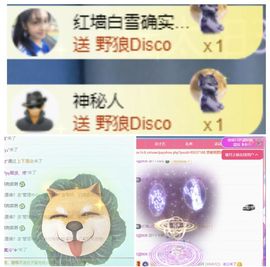 冉冉🍀好运来！的图片