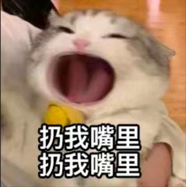 小米娜🦋常欢喜主播照片