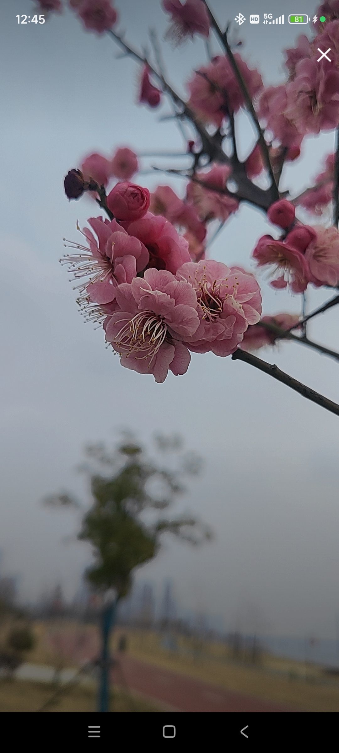 婷婷💕感恩有你陪伴的图片