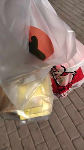 ▒谦恭比索鸟▒主播照片