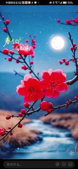 丑小鸭💞愿有一束光主播照片