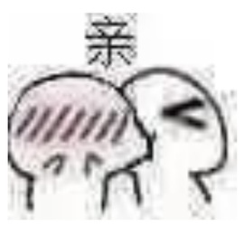 呆呆羊^主播照片