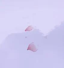 墨冄九九主播照片