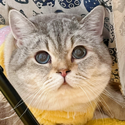 可爱小王子^_^