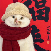 鱼小周