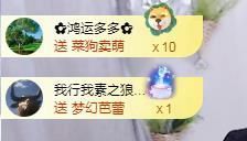 何芯დ播会主播照片