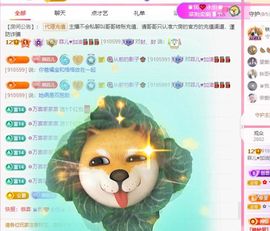菲儿💗求陪伴主播照片